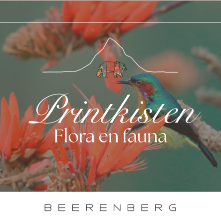 Flora & Fauna