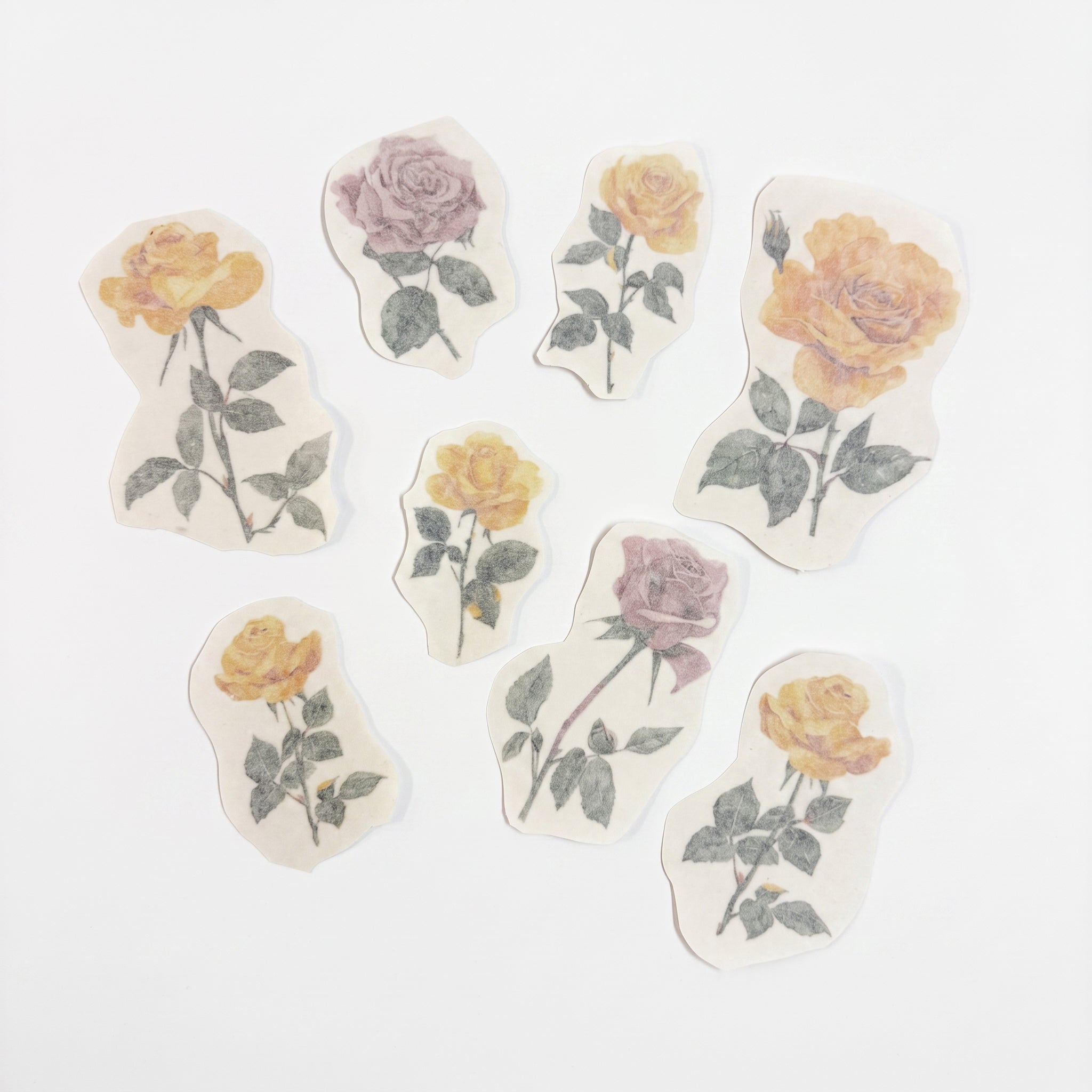 Jonge rozen - Afscheidstickers