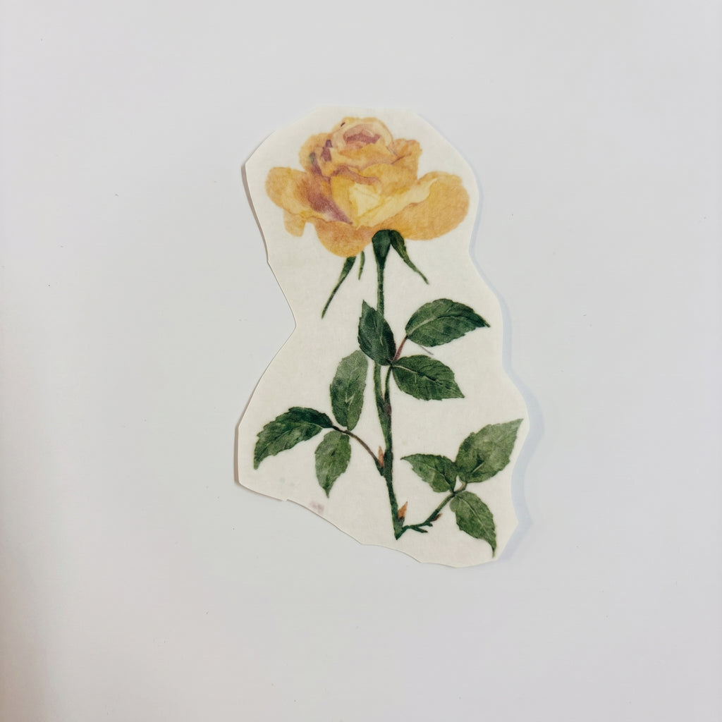 Jonge rozen - Afscheidstickers