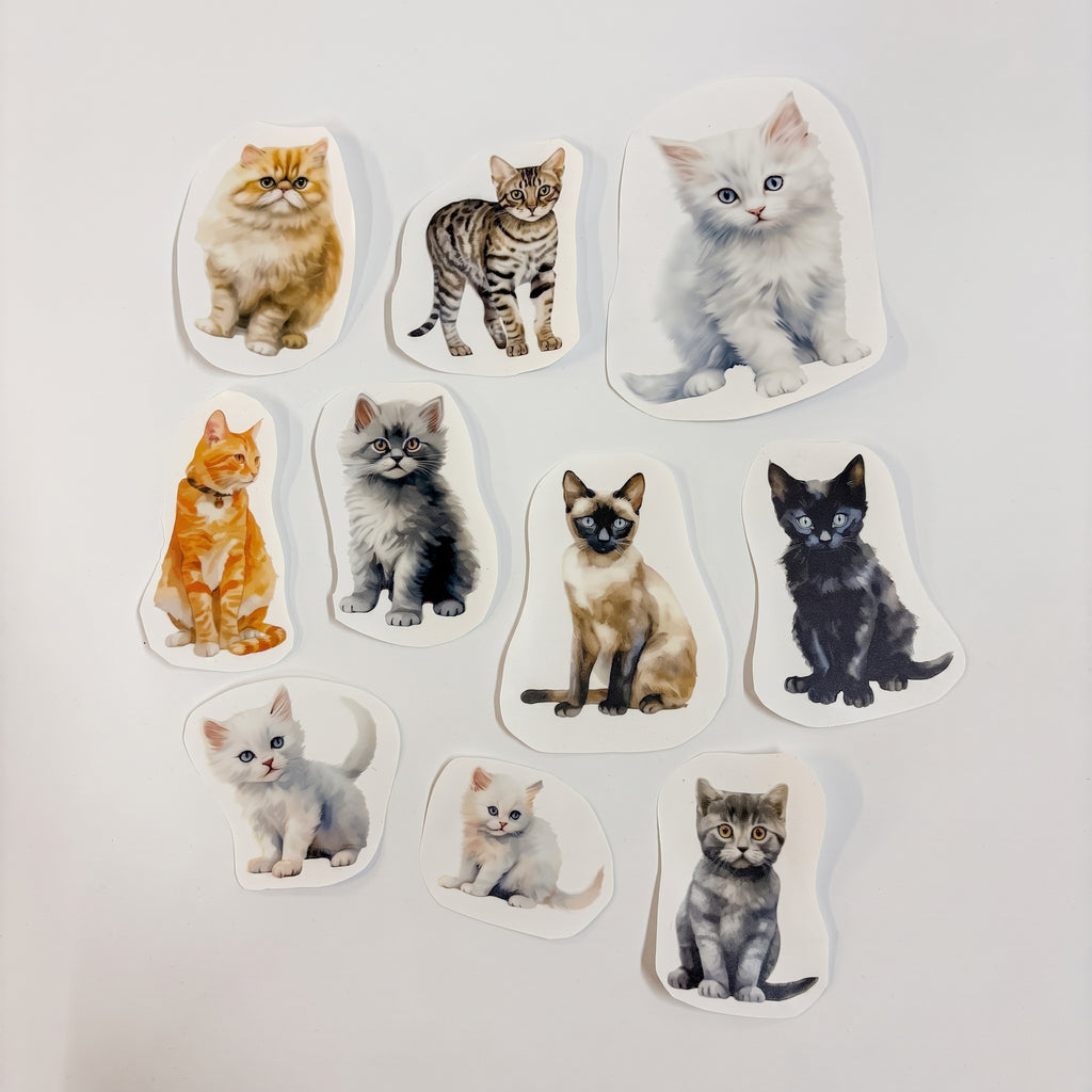 Kittens - Afscheidstickers