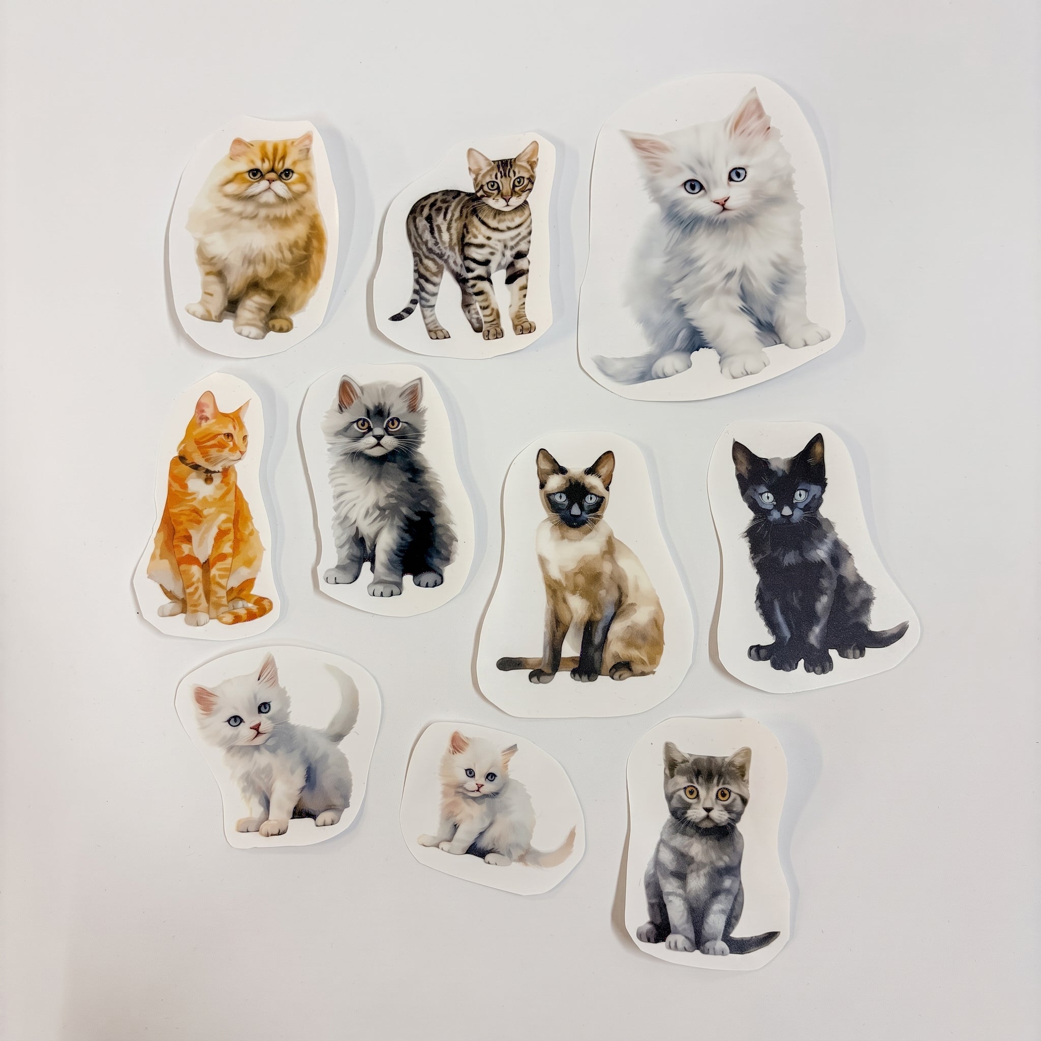 Kittens - Afscheidstickers