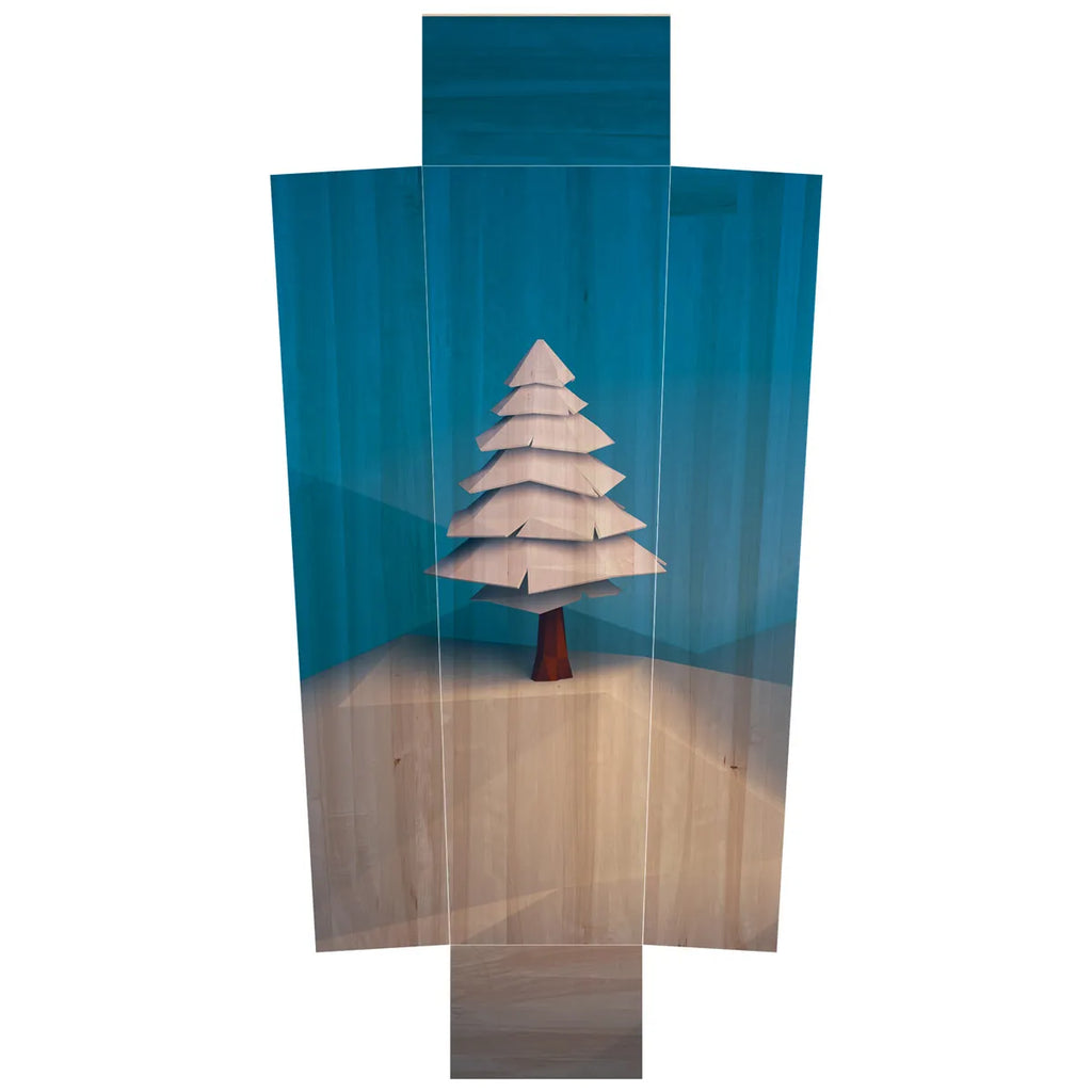 Polygoon winter boom