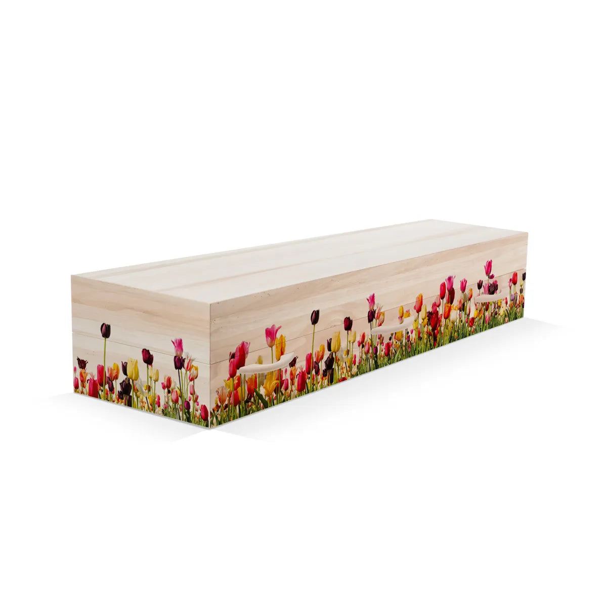 Tulpen rondom kleur