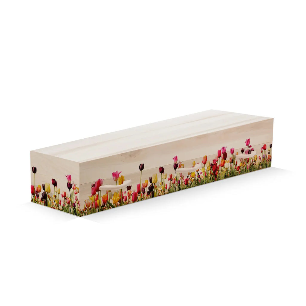 Tulpen rondom kleur