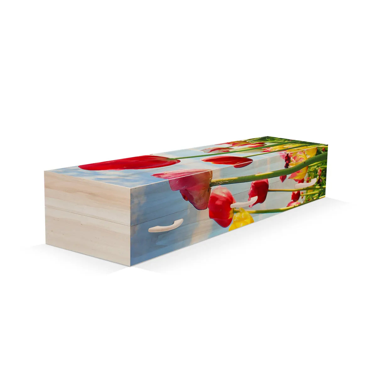 Tulpen rood groot