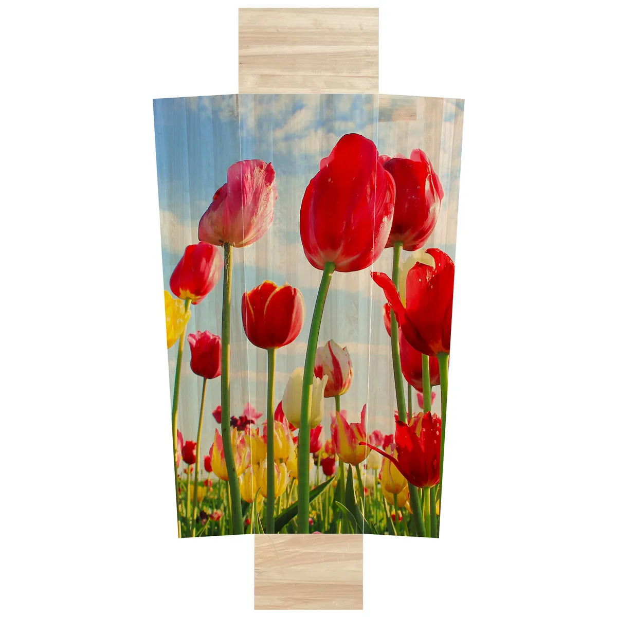 Tulpen rood groot