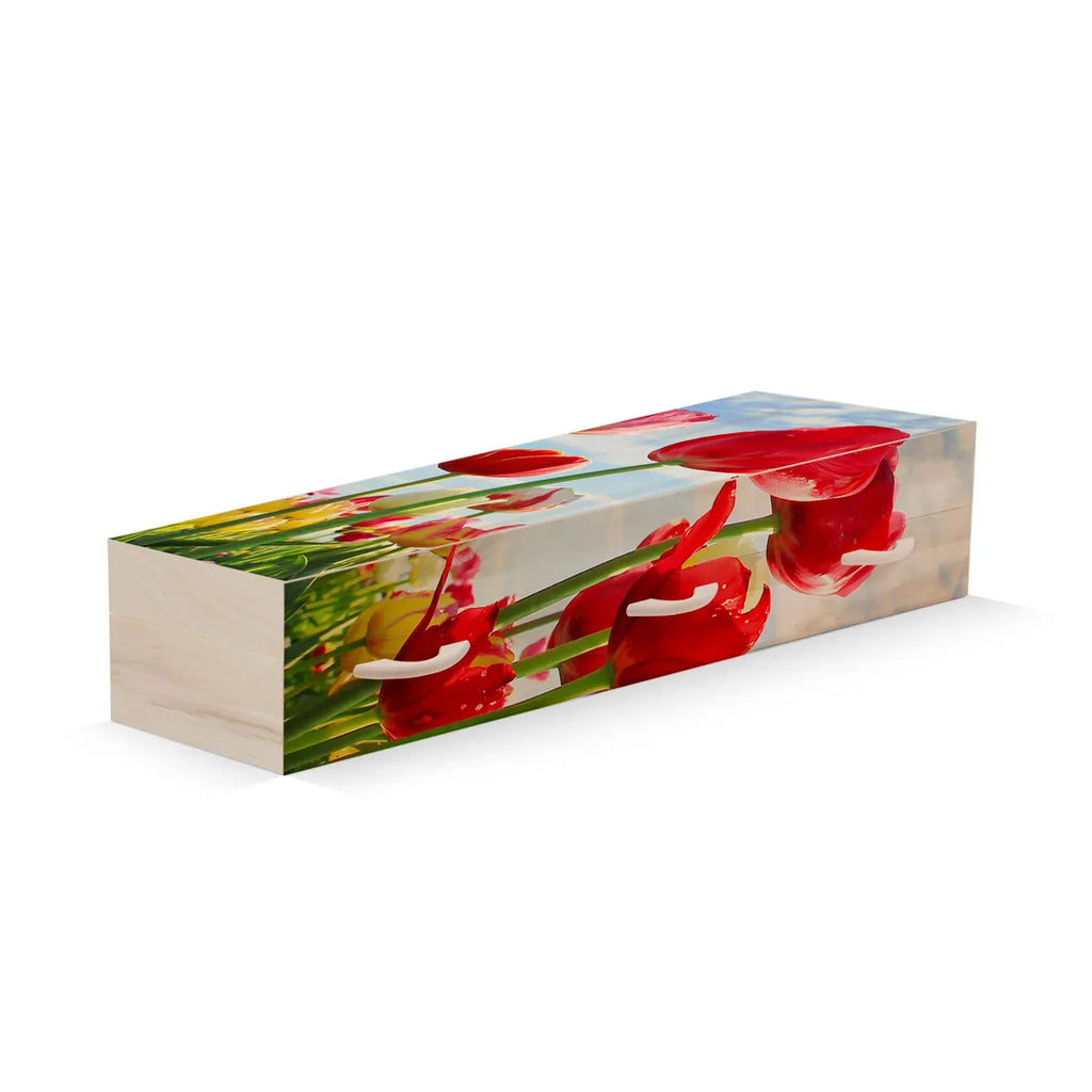 Tulpen rood groot