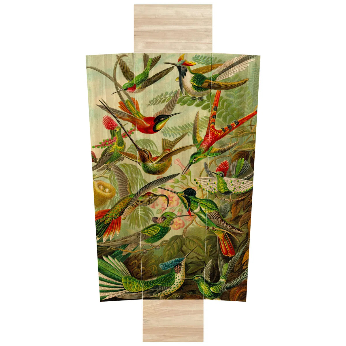 Vogels ernst heackel