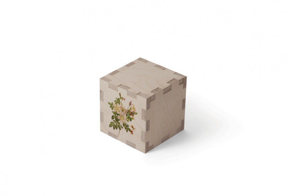 Kubus urn- Bloem