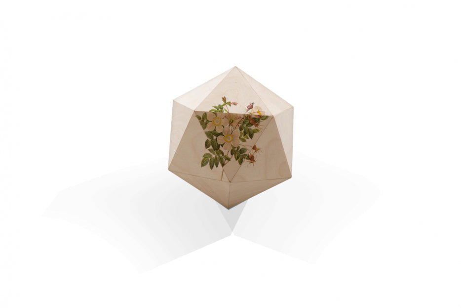 Polygoon urn bloem