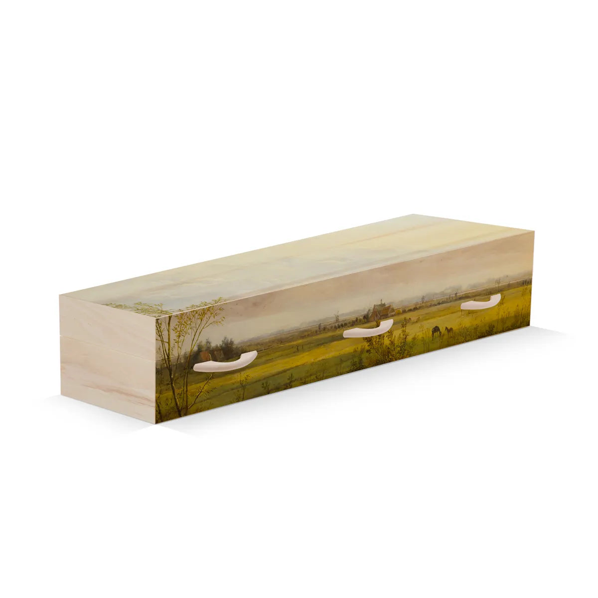 Landschap met boom