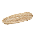 Wilgencocon